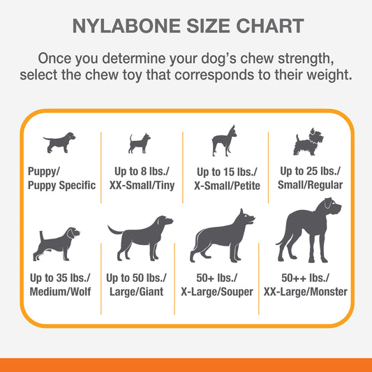 Nylabone Power Chew Femur Dog Bone Alternative Bacon 1ea/Large/Giant - Up To 50 lb