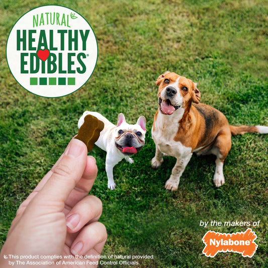 Nylabone Healthy Edibles Chewy Bites Soft Dog Treats Bacon, 6 oz 1 ct