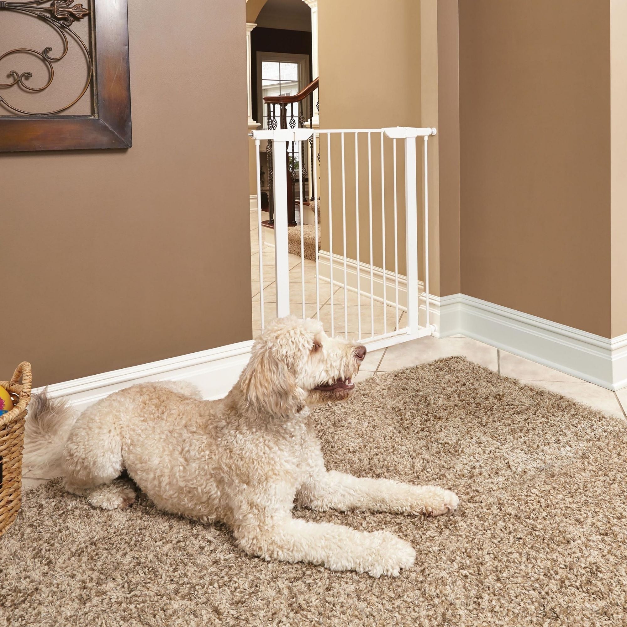 MidWest Homes for Pets Steel Pet Gate White 1ea/39in.