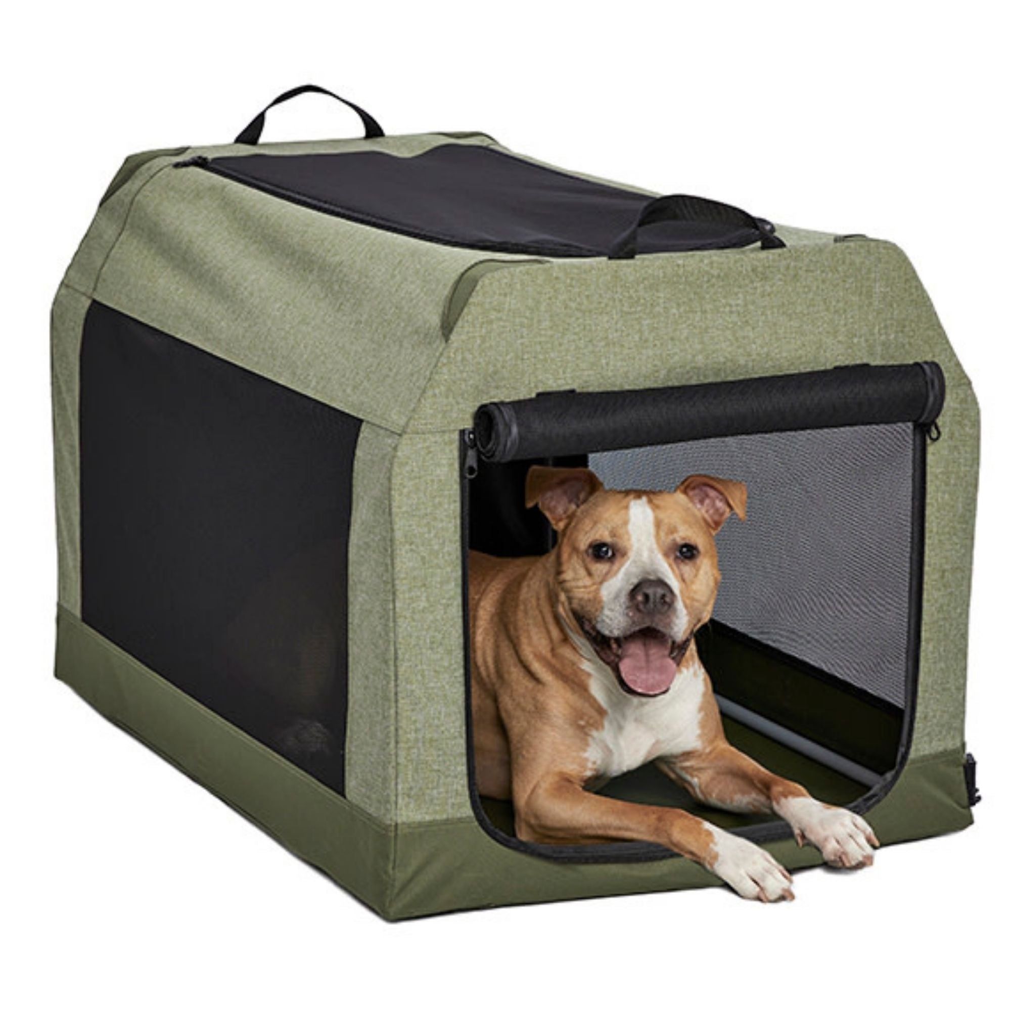 MidWest Homes for Pets Canine Camper Tent Dog Crate Green 1ea/36in.