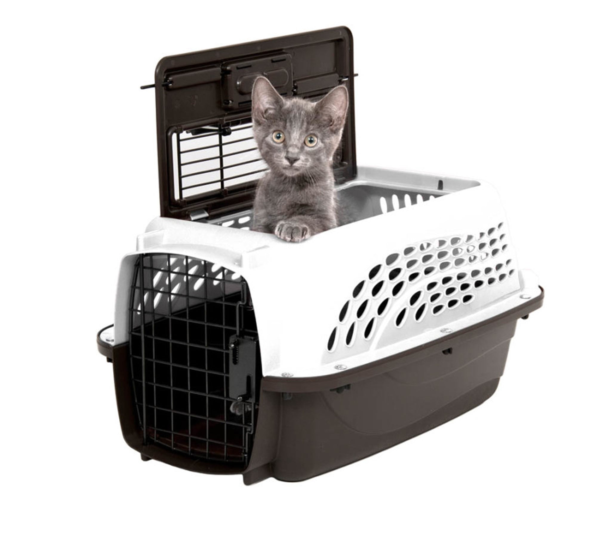 Top-load dog kennel, metallic pearl white with ventilated dark coffee base