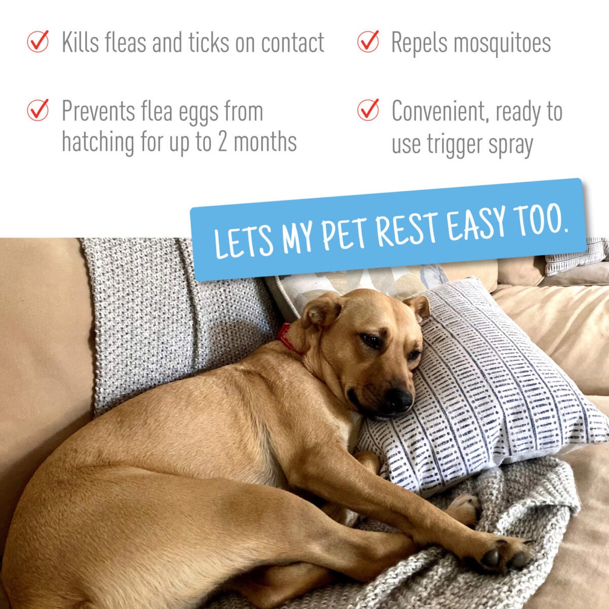 Adams Plus Flea & Tick Spray 16oz