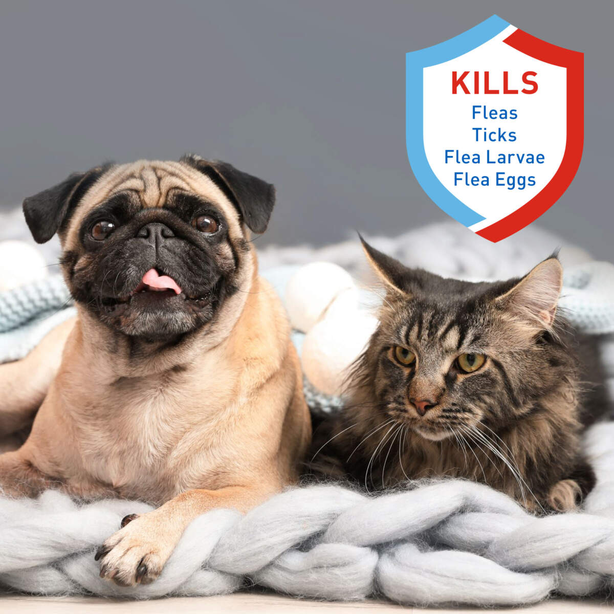 Adams Plus Flea & Tick Spray 32oz