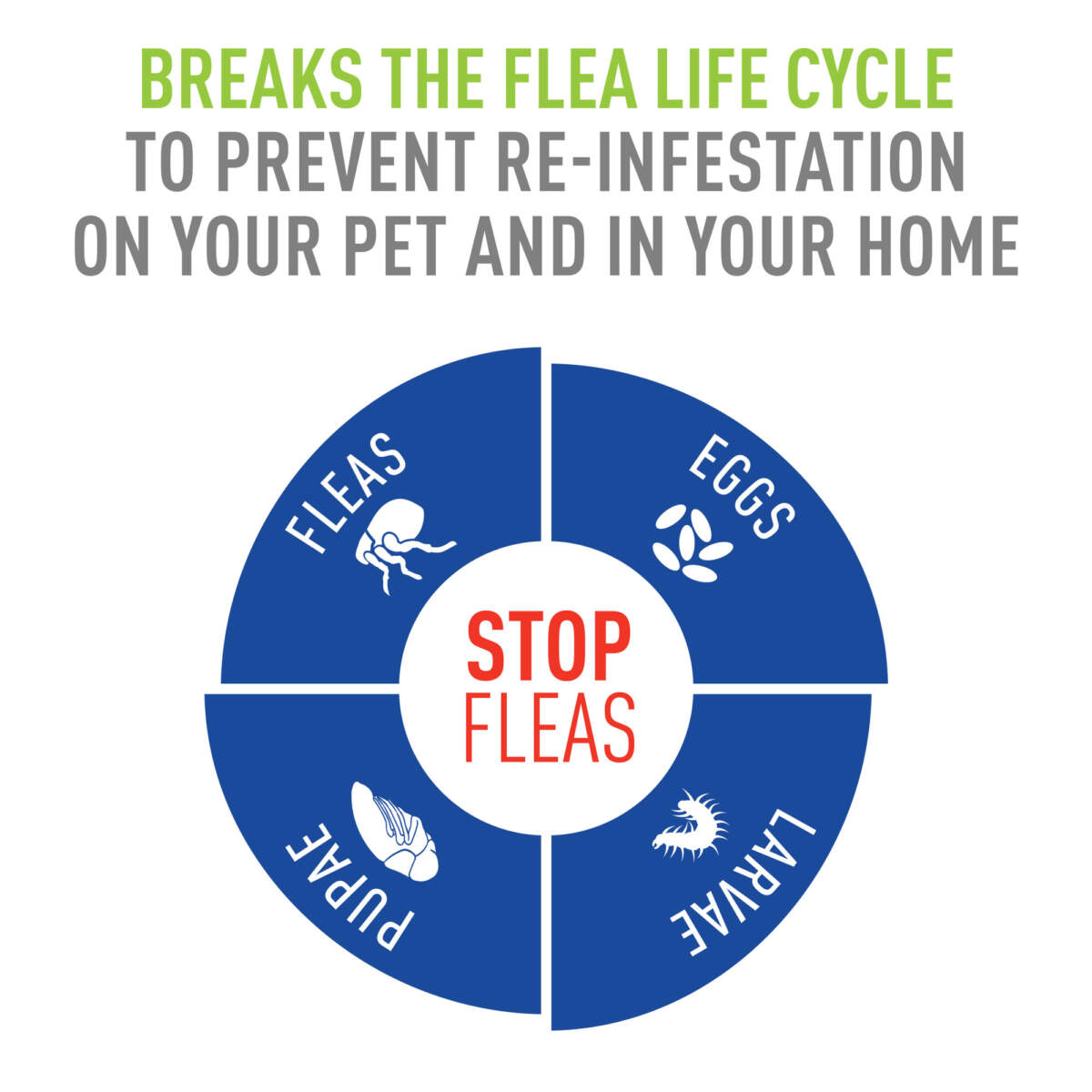 Adams Plus Flea & Tick Spray 32oz