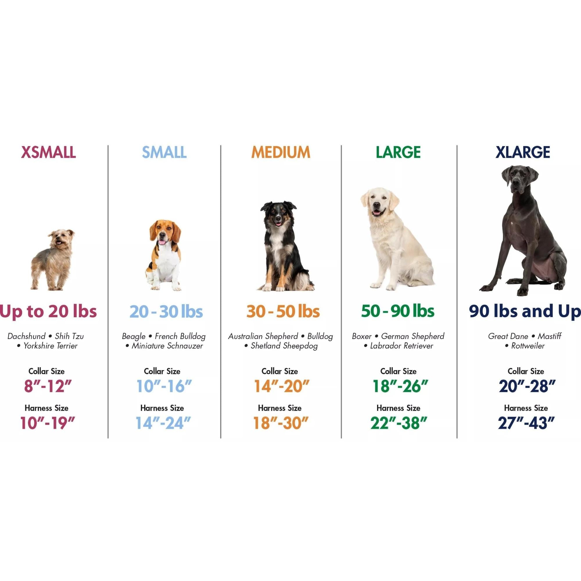 K9 Explorer Brights Reflective Adjustable Dog Collar Canyon Small 5/8"x 10"-14" Default Title