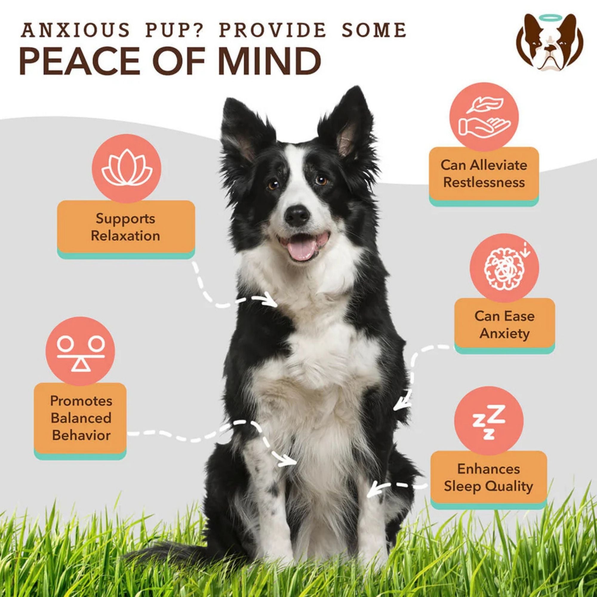 Natural Dog Company Dog Calming Supplement Chews - 90 Count