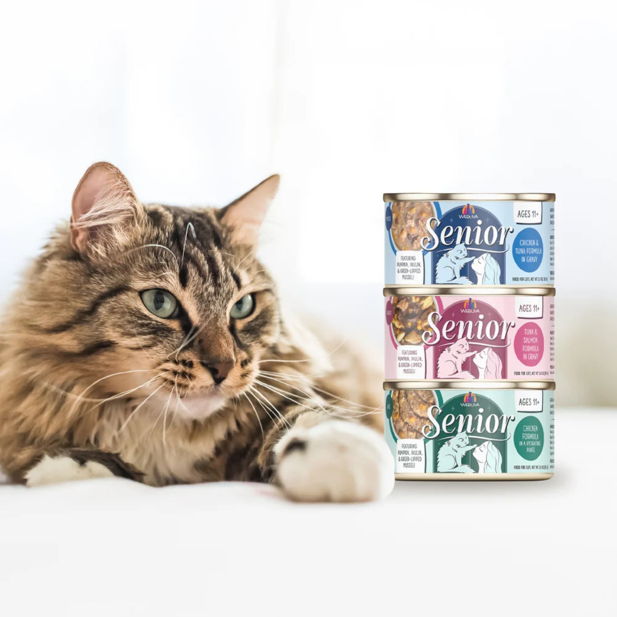 Weruva Cat Senior Tuna & Salmon Formula In Gravy 5.5oz. (Case of 8)