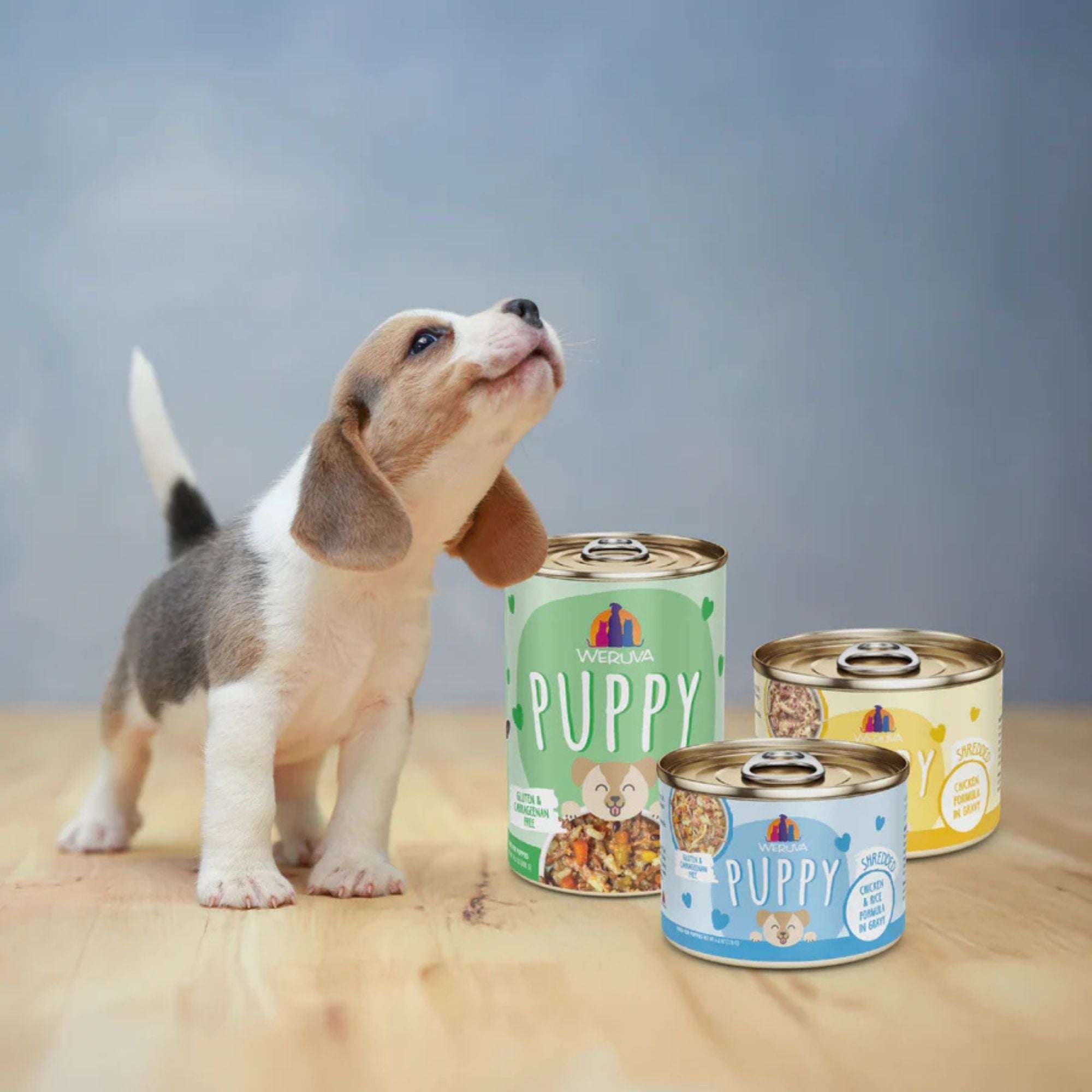 Weruva Dog Puppy Beef & Rice Formula 6oz. - (Case of 8)