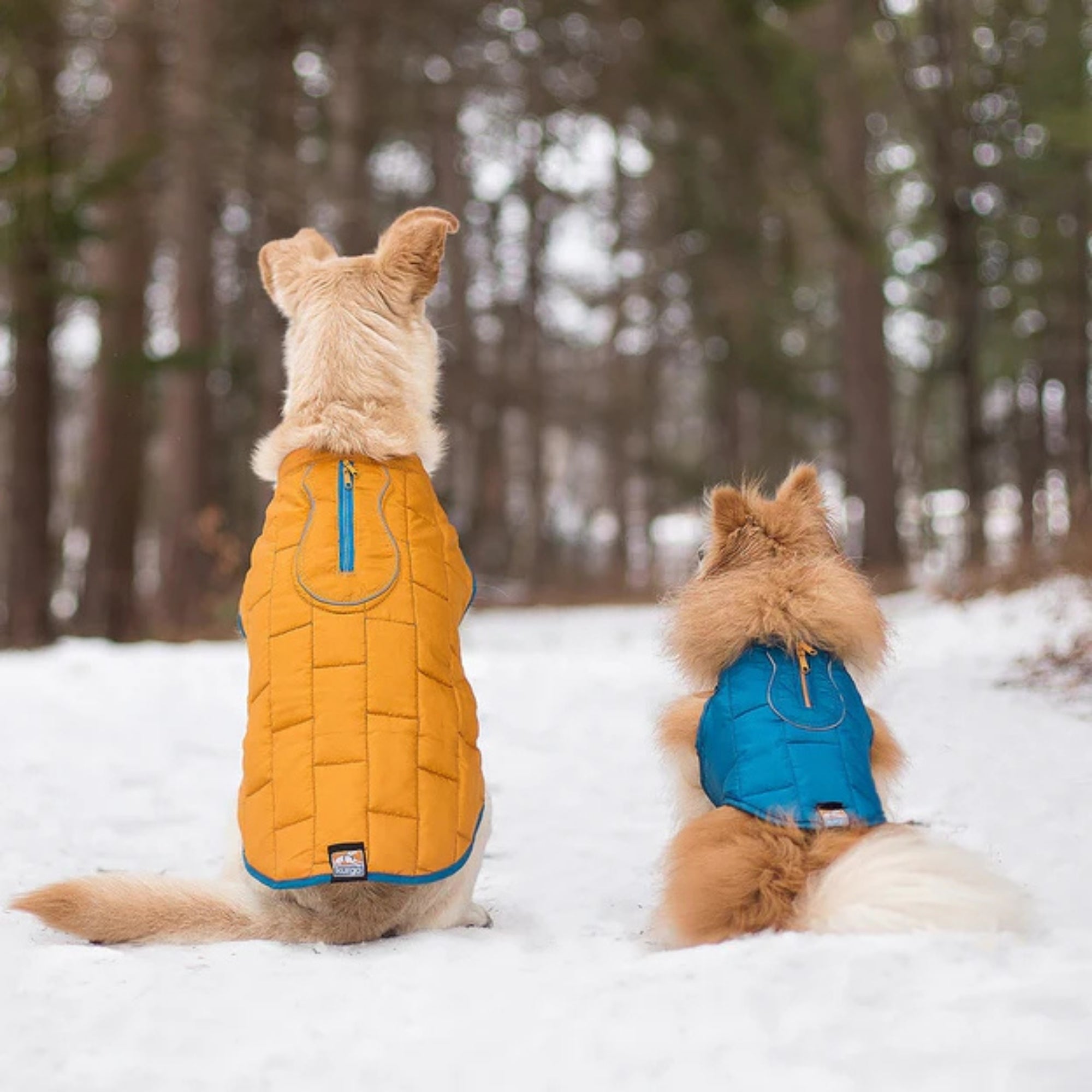 Kurgo Dog Jacket Loft Blue/Orange Small