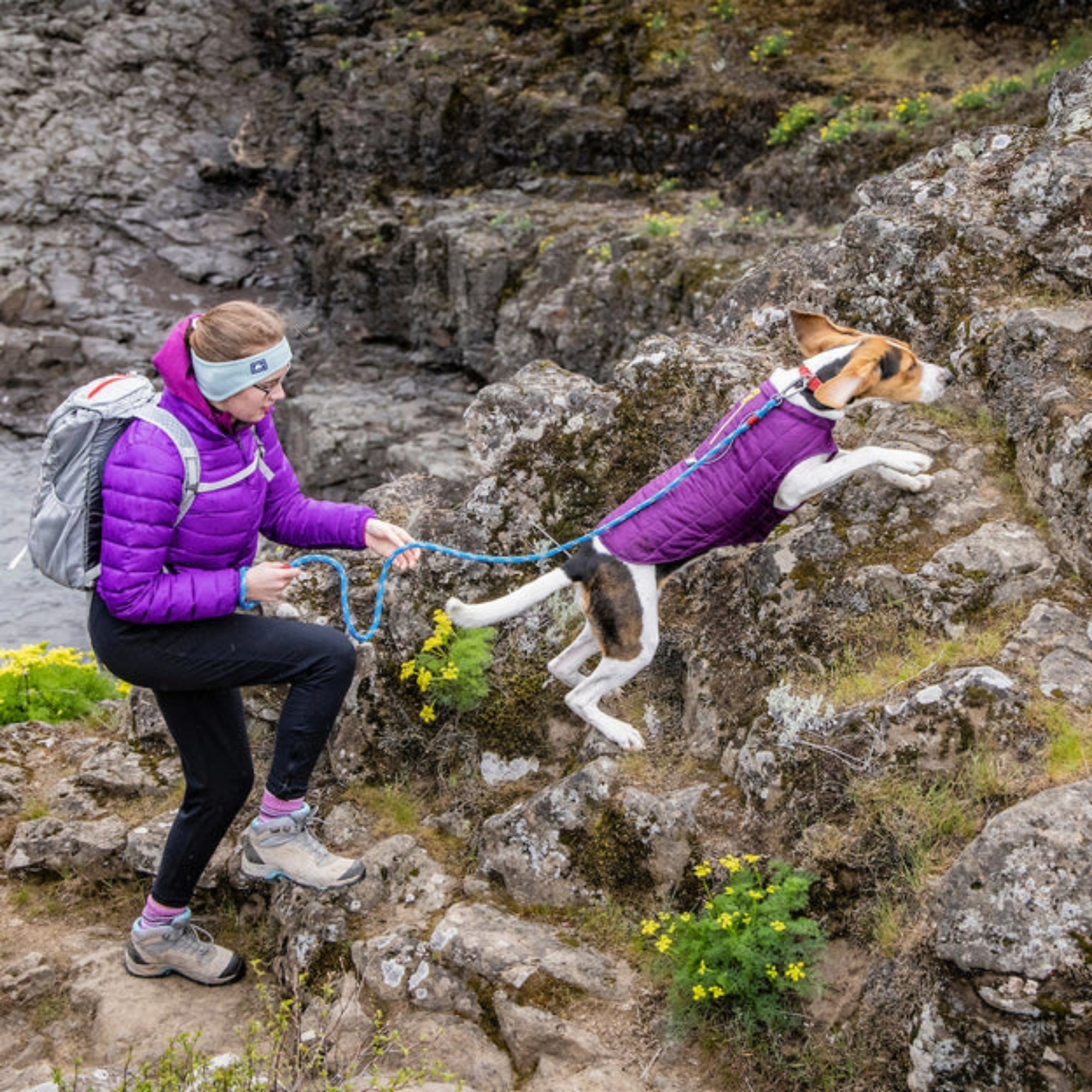 Kurgo Dog Loft Jacket Violet Small