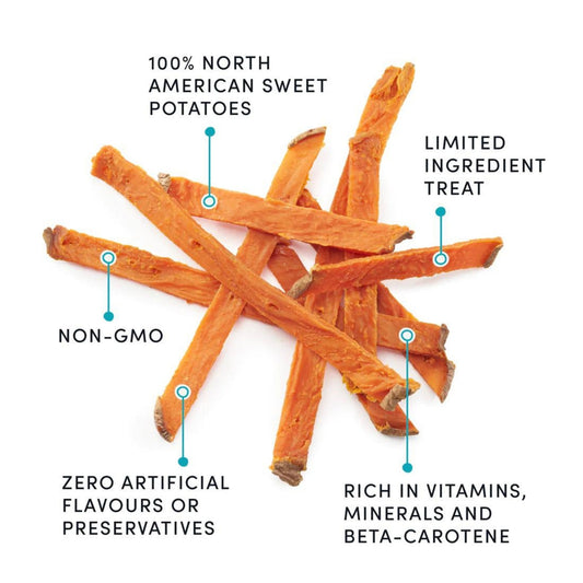 Dried sweet potato fry dog treats, orange sticks shown against plain white