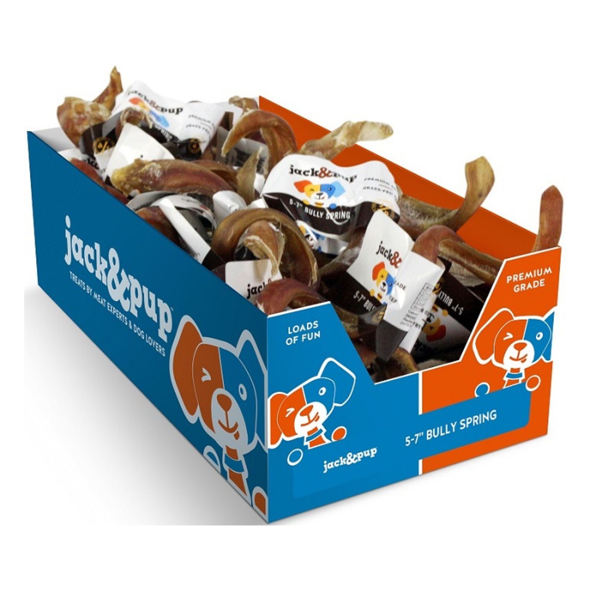 Jack & Pup Dog 5-7" Bully Springs 40Ct Display Box