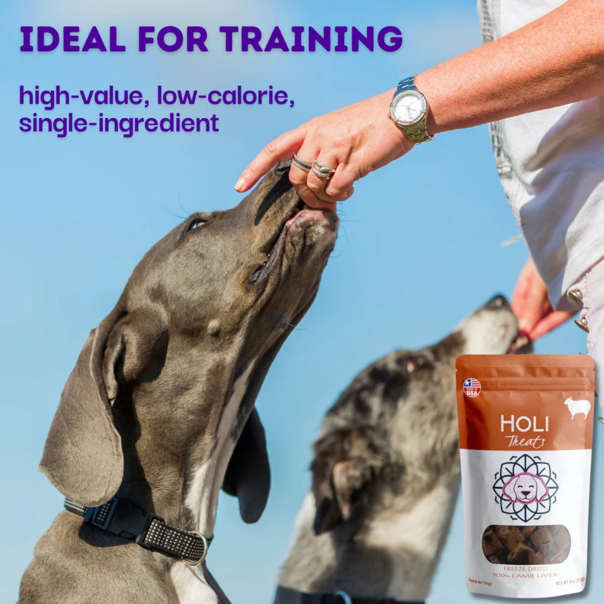 Holi Dog 2oz. Lamb Liver