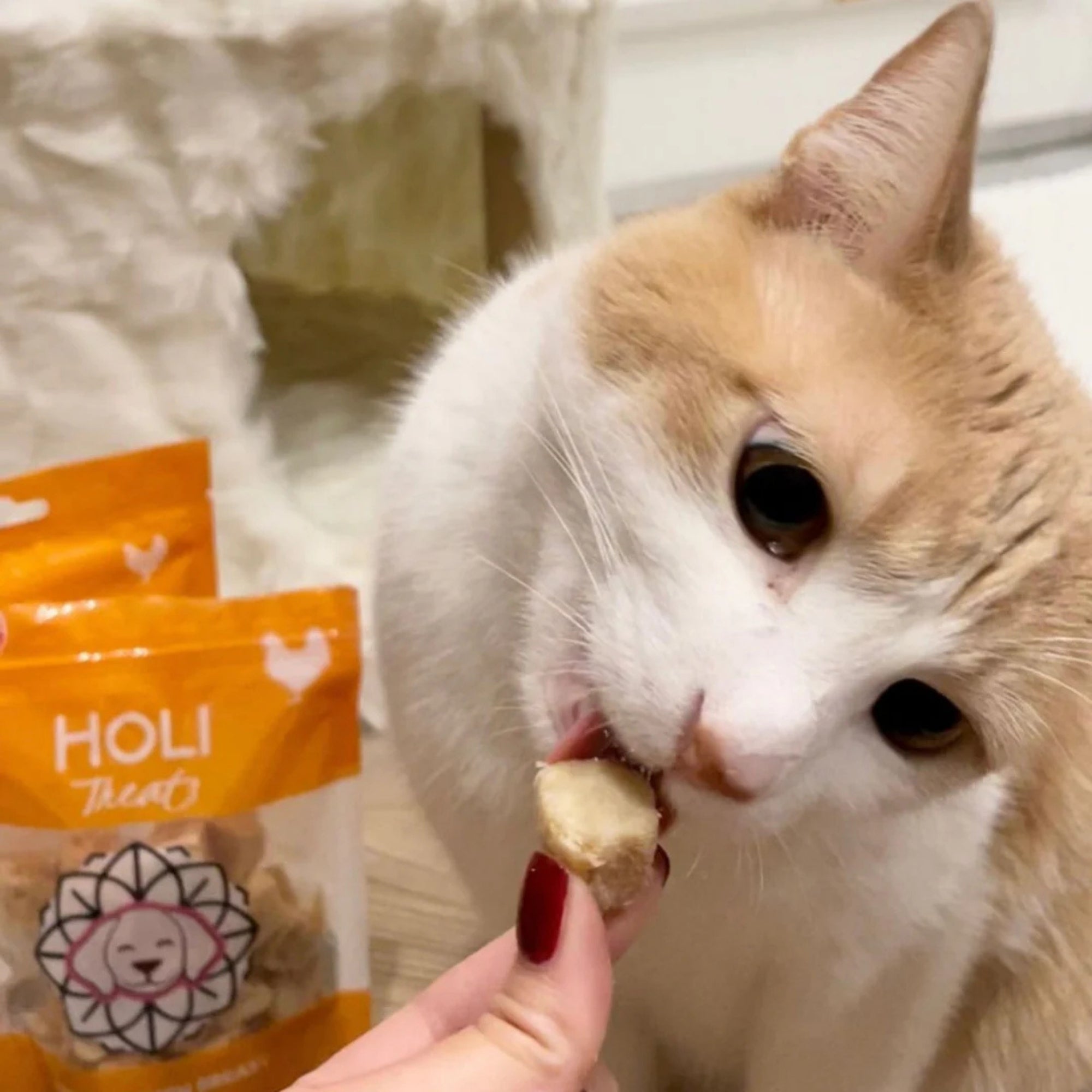 Holi Dog 1.75oz. Chicken Breast