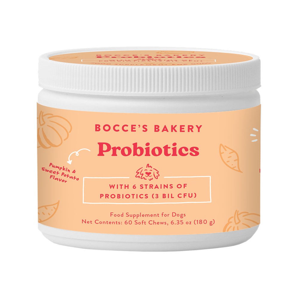 Dog probiotic supplement jar with orange Bocce's Bakery Probiotics label and white lid