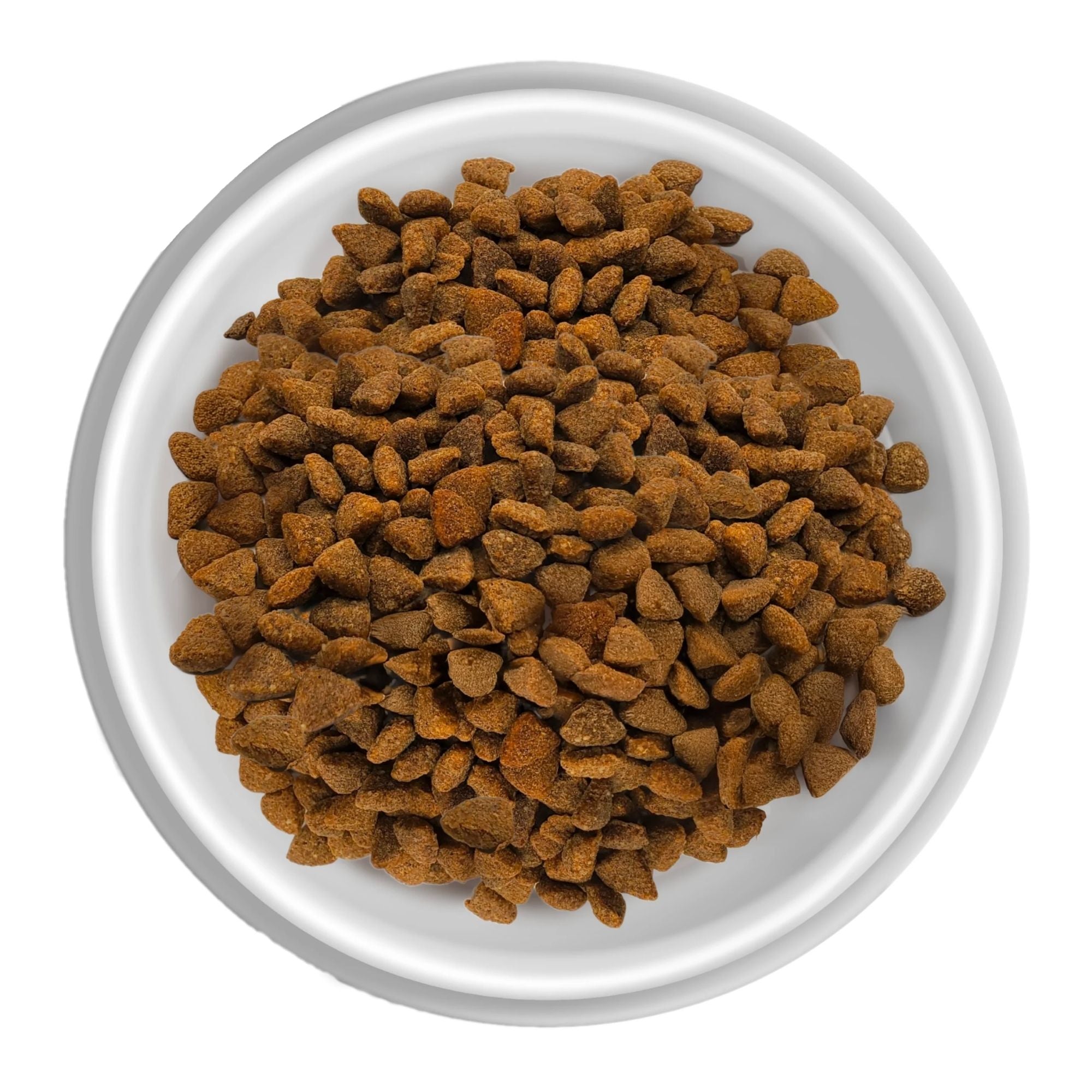 Rawz Dog Salmon Chicken Whitefish Meal Free  20Lb