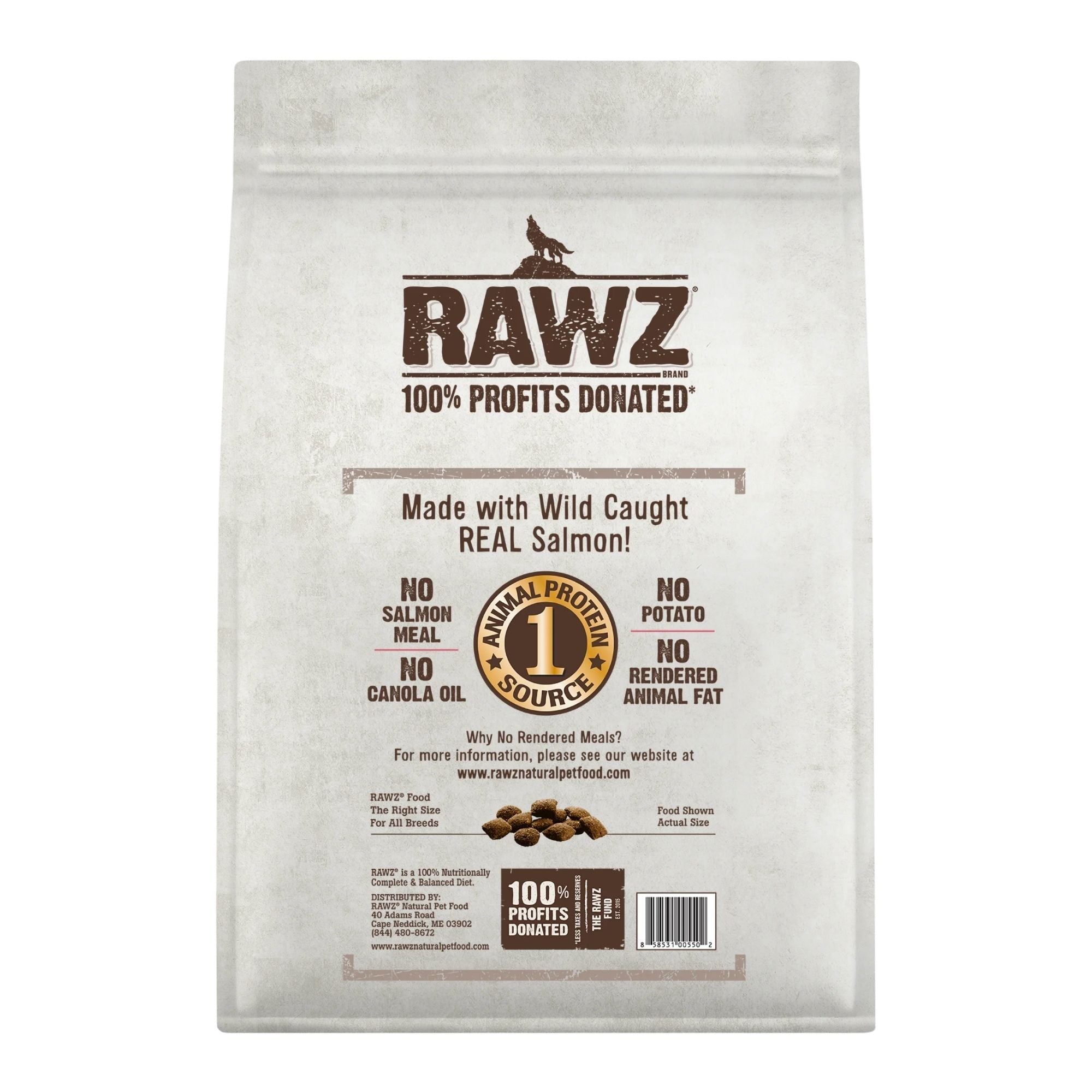 Rawz Dog Limited Ingredients Salmon 20Lb