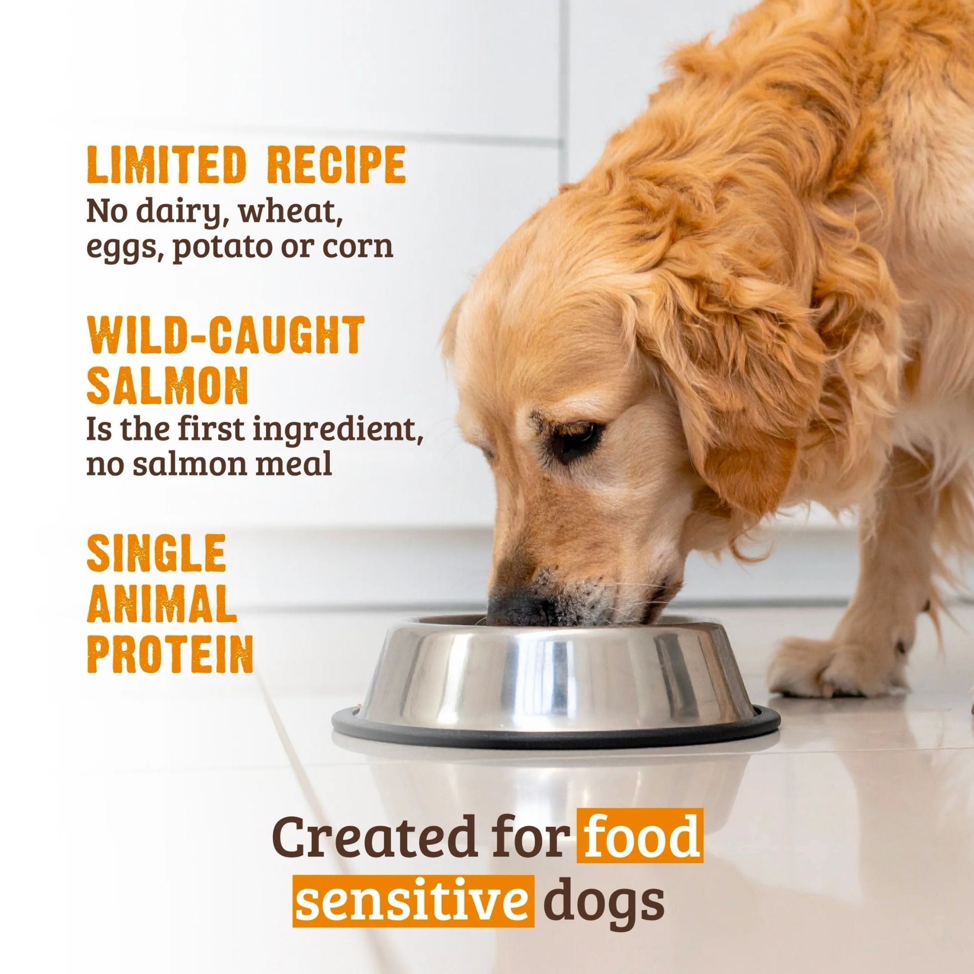 Rawz Dog Limited Ingredients Salmon 20Lb
