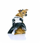 French maid pet costume on a small dog, black dress with white ruffles and cap
