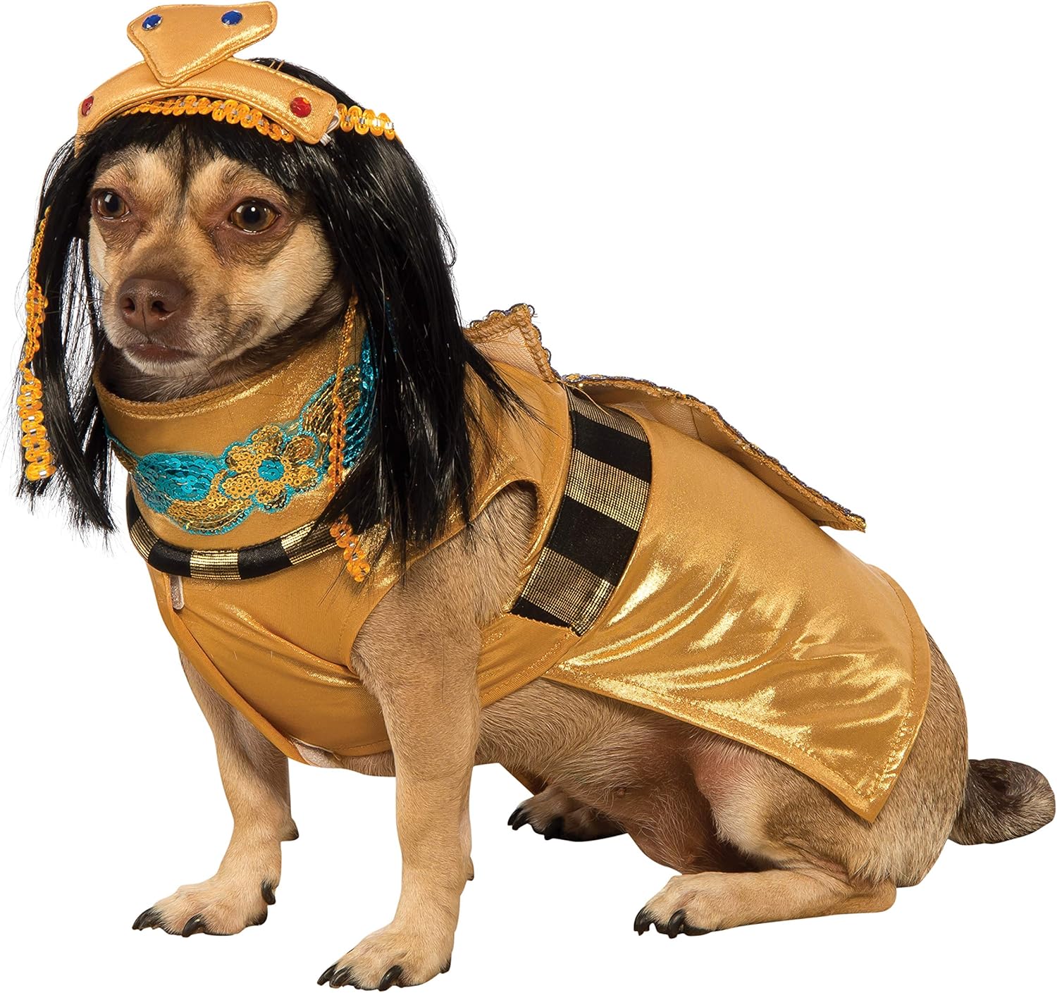 Rubies Cleopatra pet costume with gold hood, blue jeweled collar, and headpiece