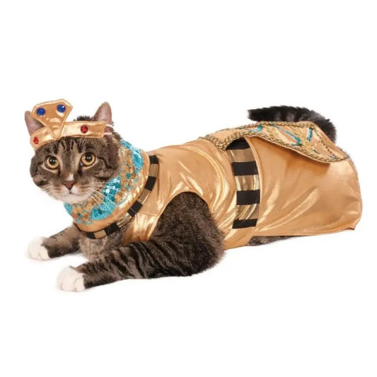 Rubies Cleopatra pet costume on cat: gold satin tunic with blue jeweled collar