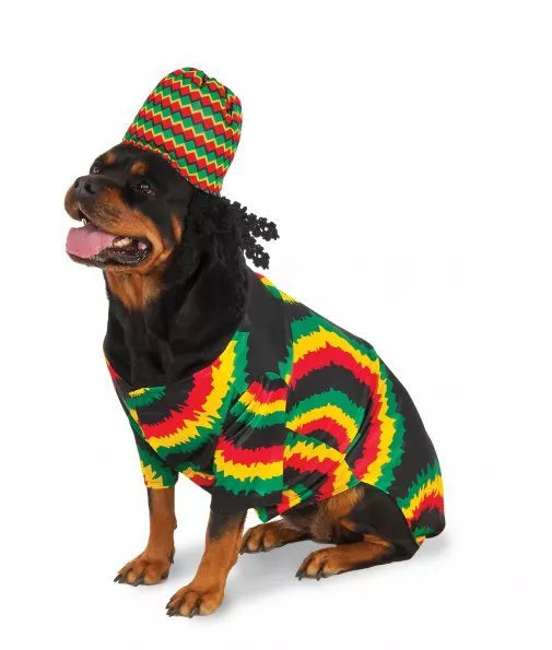 Dog rasta costume with striped hoodie and matching knit hat